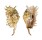 STROMBIDAE LAMBIS MILLEPEDA shell