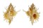 MURICIDAE MUREXIELLA PELEPILI shell