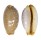 CYPRAEIDAE STAPHYLEA LIMACINA shell