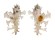 MURICIDAE HOMALOCANTHA ZAMBOI shell
