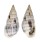 PYRAMIDELLIDAE PYRAMIDELLA VENTRICOSA shell
