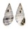PYRAMIDELLIDAE PYRAMIDELLA VENTRICOSA shell