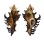 MURICIDAE CHICOREUS BANKSII CROCATUS shell