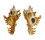 MURICIDAE CHICOREUS BANKSII CROCATUS shell
