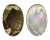 HALIOTIDAE HALIOTIS GLABRA shell