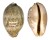 CYPRAEIDAE LEPOCYPRAEA MAPPA shell