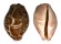 CYPRAEIDAE LEPOCYPRAEA MAPPA shell