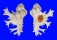 MURICIDAE HOMALOCANTHA ANATOMICA PELE shell