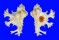 MURICIDAE HOMALOCANTHA ANATOMICA PELE shell
