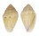CONIDAE LILLICONUS TRAILLII shell