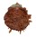 SPONDYLIDAE SPONDYLUS SWINNENI shell