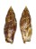STROMBIDAE STROMBUS TEREBELLATUS shell