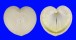 CARDIIDAE CORCULUM CARDISSA AEQUALE shell