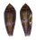 CONIDAE CONUS GRANUM shell