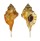 RANELLIDAE RANULARIA TESTUDINARIUM shell