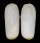 SOLERCUTIDAE SOLECURTUS QUOYI shell