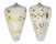 CONIDAE CONUS EBURNEUS shell