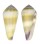 CONIDAE CONUS TEREBRA shell