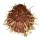 SPONDYLIDAE SPONDYLUS VARIEGATUS shell