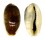 CYPRAEIDAE ERRONEA ERRONES NIGER shell