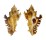 MURICIDAE CHICOREUS BANKSII CROCATUS shell