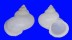 LANDSNAIL LEPTOPOMA VITREUM shell
