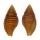 MITRIDAE MITRA  ROTUNDILIRATA shell