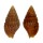 MITRIDAE VEXILLUM cf. VENUSTULUM shell