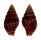 MITRIDAE VEXILLUM cf. VENUSTULUM shell