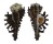 MURICIDAE MUREX cf. SCORPIO shell