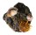 GRYPHAEIDAE HYOTISSA HYOTIS shell