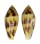 CONIDAE CONUS MITRATUS shell