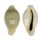 CYPRAEIDAE MONETARIA ANNULUS ROSTRATE shell
