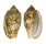 VOLUTIDAE CYMBIOLA VESPERTILIO shell