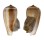 CONIDAE CONUS RADIATUS shell