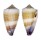 CONIDAE CONUS MURICULATUS shell