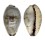 CYPRAEIDAE PURPURADUSTA GRACILIS shell