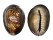 CYPRAEIDAE CYPRAEA CAPUTSERPENTIS  shell