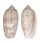 OLIVIDAE OLIVA RETICULARIS shell