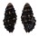 MURICIDAE CLAREMONTIELLA NODULOSA shell