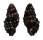 MURICIDAE CLAREMONTIELLA NODULOSA shell