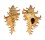 MURICIDAE CHICOREUS SPECTRUM shell