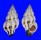 FASCIOLARIIDAE PERISTERNIA MELANORYNCHUS shell