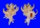 CORALLIOPHILIDAE BABELOMUREX SPINOSUS JEANNEAE shell