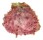 SPONDYLIDAE SPONDYLUS VARIANS shell
