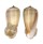 CONIDAE CONUS RADIATUS shell