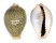 CYPRAEIDAE EROSARIA MILIARIS MILIARIS shell