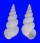 EPITONIIDAE SURREPIFUNGIUM PATAMAKANTHINI shell