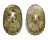 FISSURELLIDAE DIODORA CRUCIATA shell