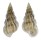 EPITONIIDAE GYROSCALA LAMELLOSA shell
